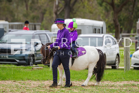 IMGP3043