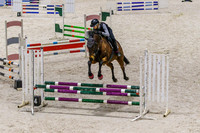 IMGP1274