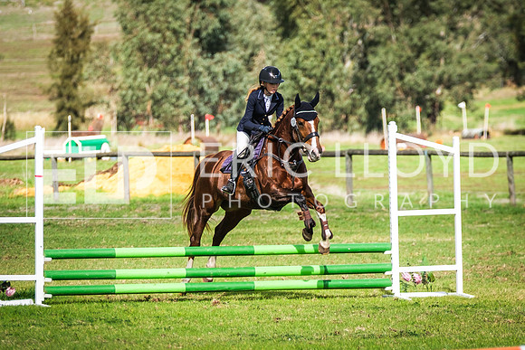 DSCF8714