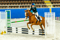 Primary- Secondary  60cm Championship