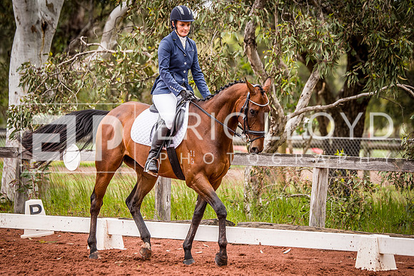 untitled-0884