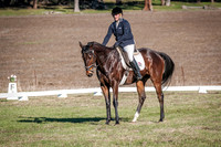 DSCF0379