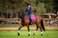 IMGP5660