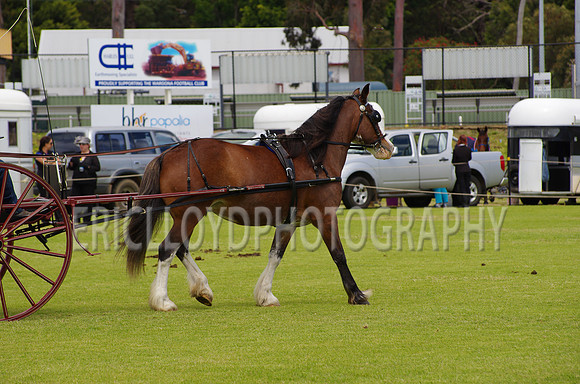 Jess-4128