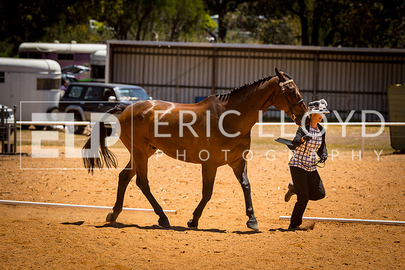 untitled-0298