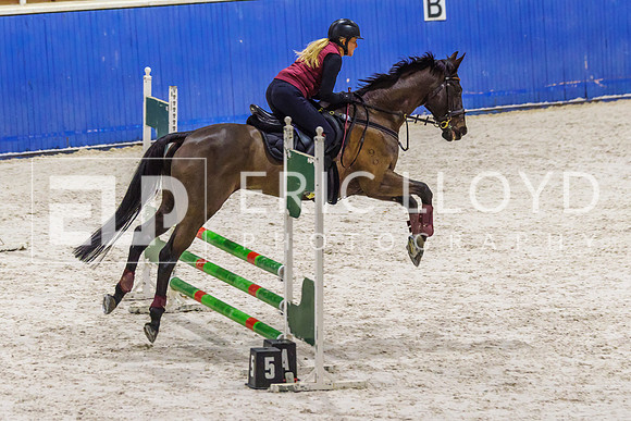 IMGP1353
