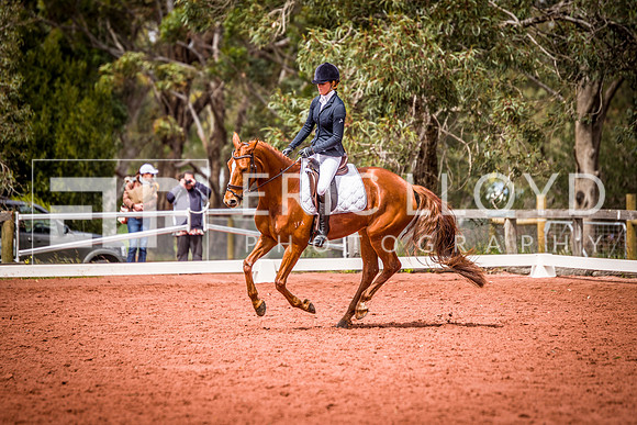 untitled-0976