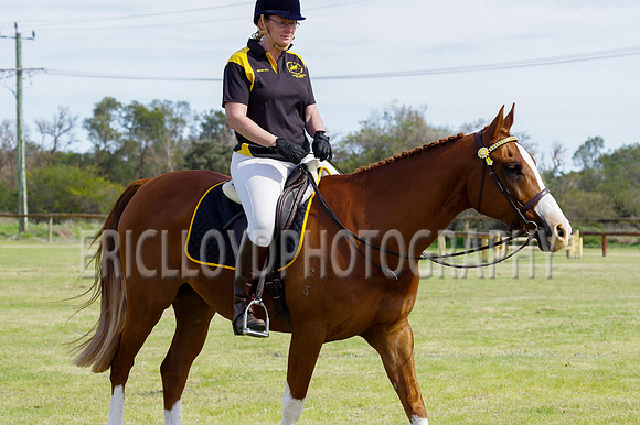 ARCA WH 2014-6580