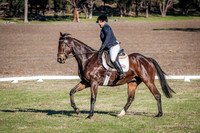 DSCF0376