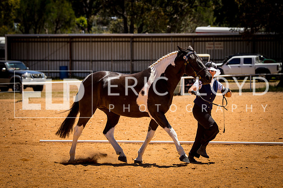 untitled-0263