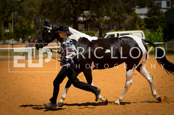 untitled-9574