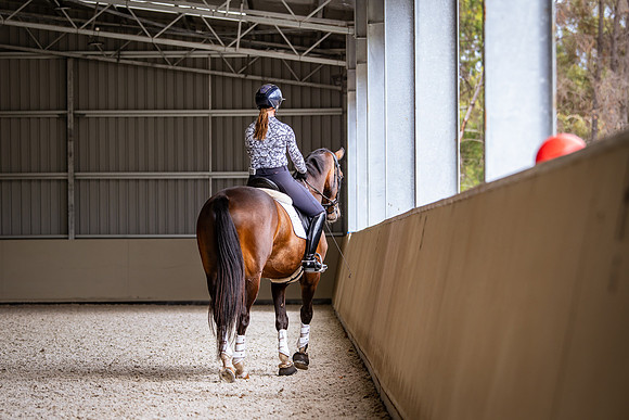 IMGP1240