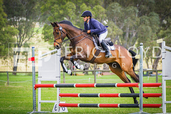 IMGP6550