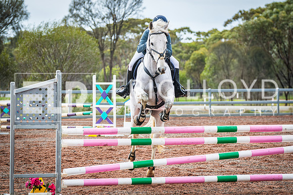 DSCF6285