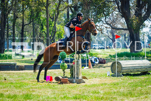 IMGP0481