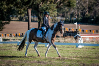 DSCF0387