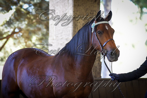 IMGP1392