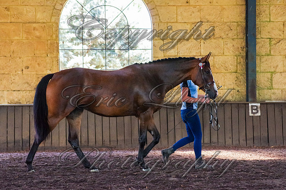 Brookleigh-9904
