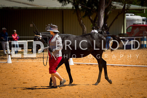 untitled-9523