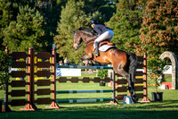DSCF4570