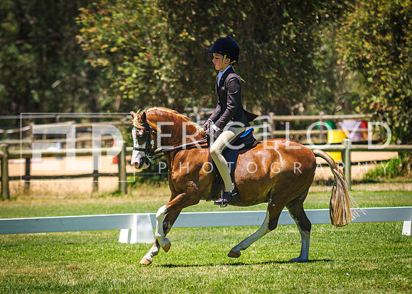 IMGP9599