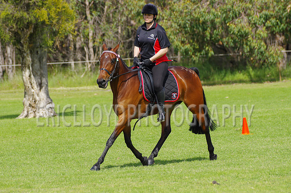 ARCA WH 2014-6609