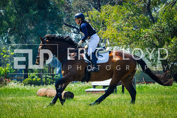 IMGP0664