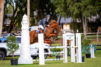13B Rainbow Classic for horses 7 years and under
