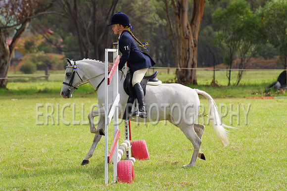 Bev Ag 2014-5103