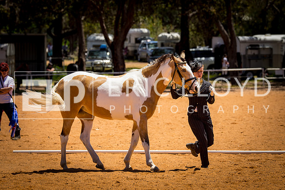 untitled-0246