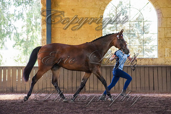 Brookleigh-9908