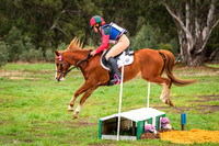 DSCF0666