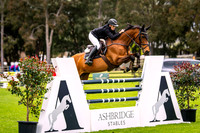 IMGP1812