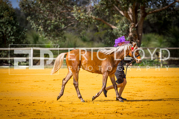 untitled-0039-2