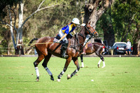 2.00pm Springrup - Balwyn