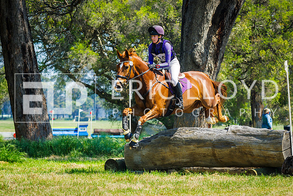 IMGP0688