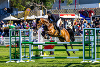 Class 713 Amateur Horses Table C