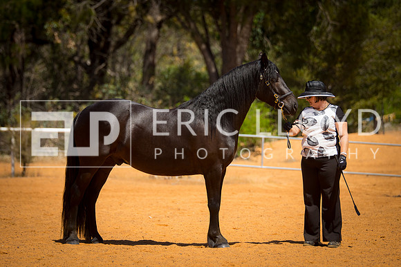 untitled-9509