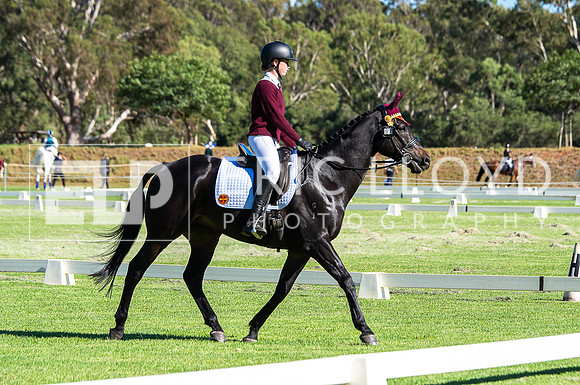 IMGP4781