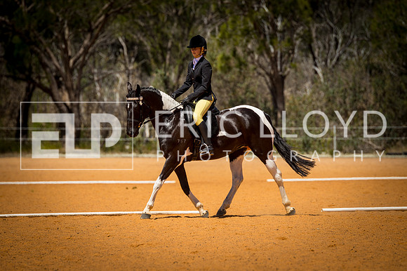 untitled-0609