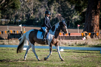 DSCF0388