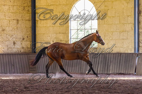 Brookleigh-9922