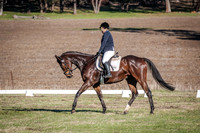 DSCF0374