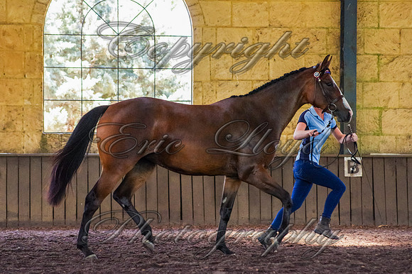 Brookleigh-9912