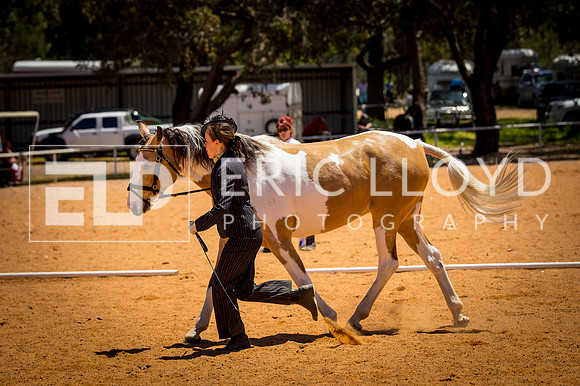 untitled-0247