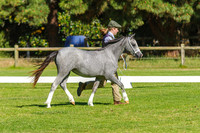 IMGP8122