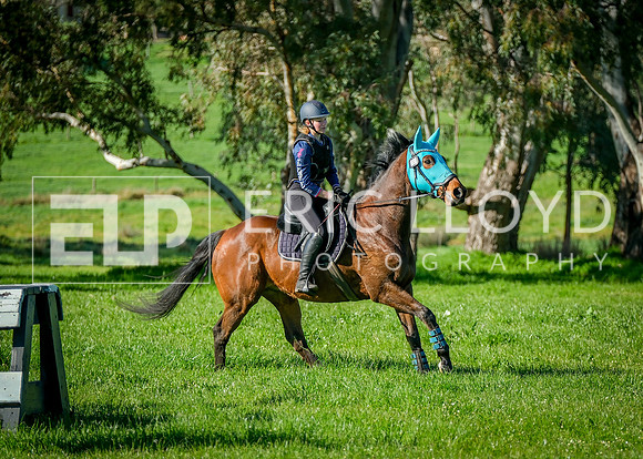 DSCF2461