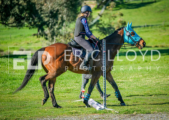 DSCF2511