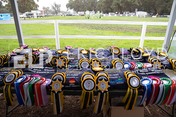 ELP_4581