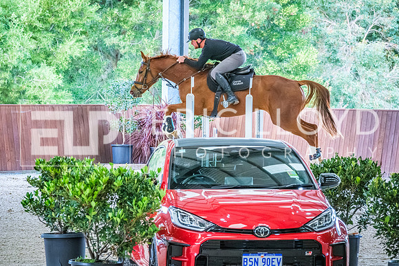DSCF6683